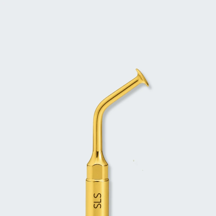 SLS_1.jpg